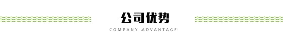 公司优势